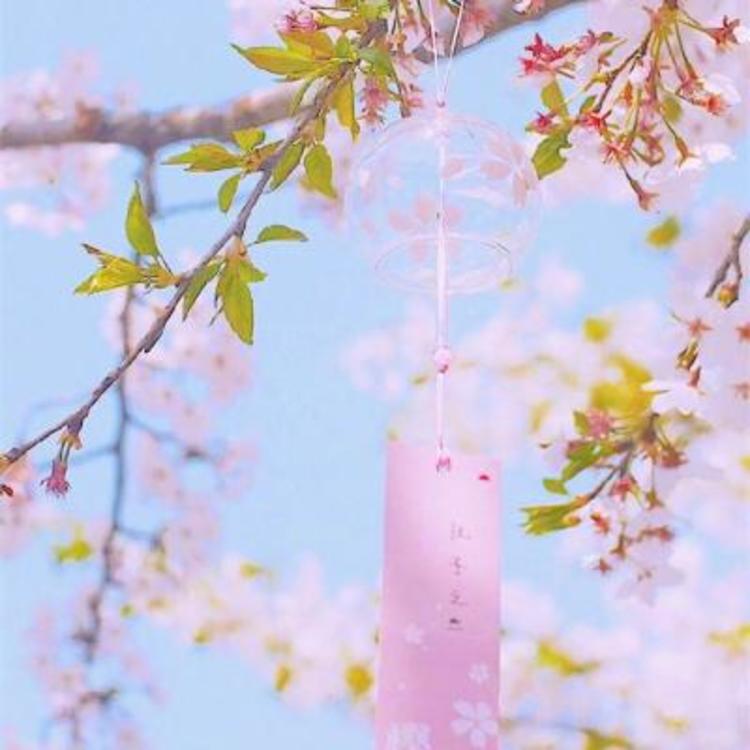 东京（明治维新后故事主要发生地） - 多语言字幕在线观看 - 线上视频